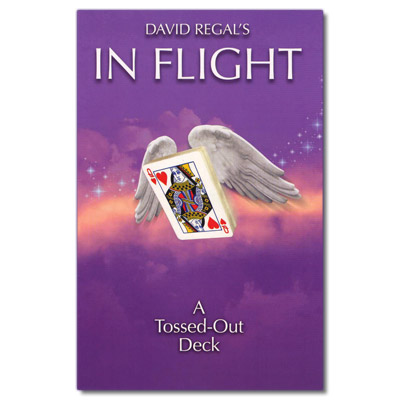 In Flight - David Regal