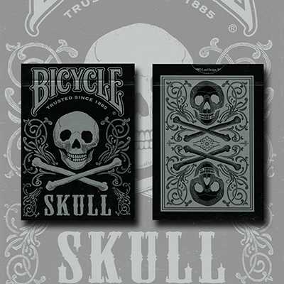 Bicycle Skull Metallic (Silver) USPCC - Gamblers Warehouse