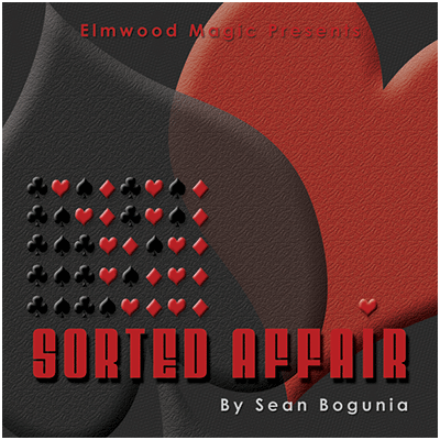 Sorted Affair (2013) - Sean Bogunia