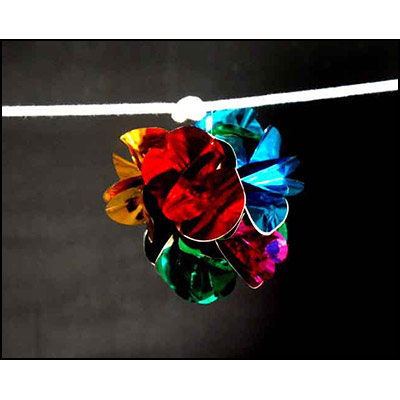 Flower on Rope - Uday