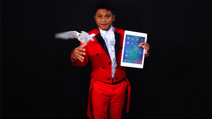 iPad Appearing Dove