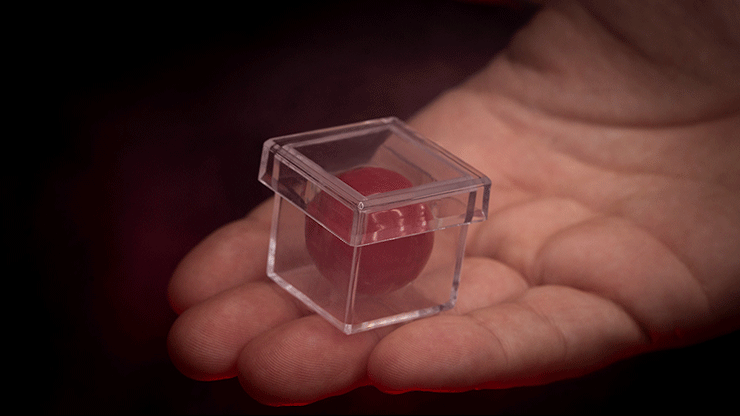 MAGIC CHAMBER (Gimmicks and Instructions) by Apprentice Magic - Trick ...