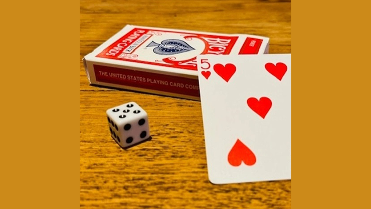 お取り寄せ】NEW AGE（カード預言の新時代）by Andrew and Guilherme