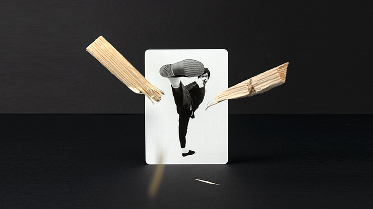 Bruce Lee Playing Cards by Dan... MagicWorld Magic Shop