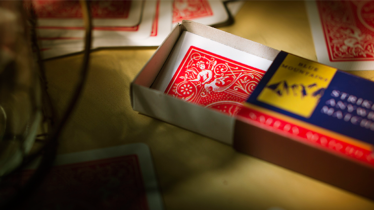 Burn Notice (Gimmick and Online... MagicWorld Magic Shop