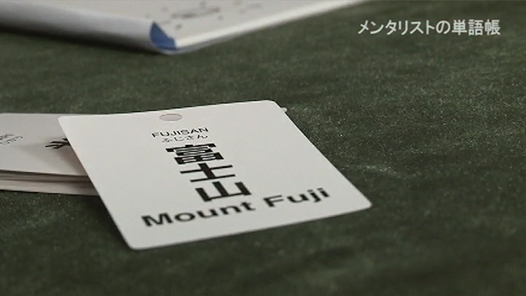 Mentalist's Vocabulary Flash Cards... MagicWorld Magic Shop