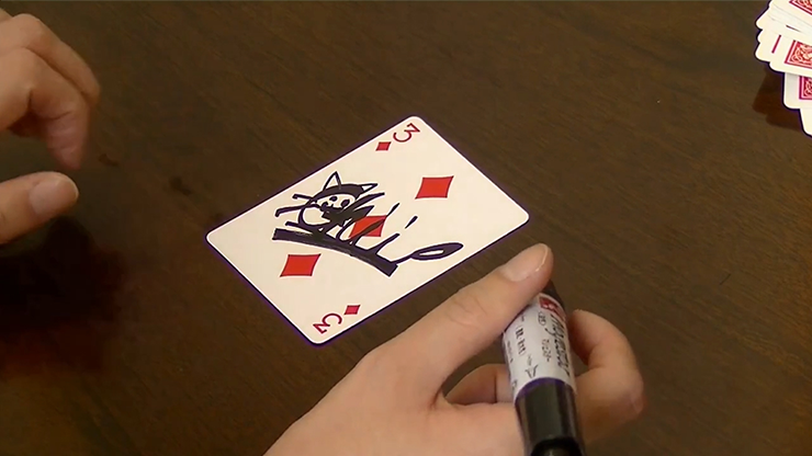 Card Through Mesh Bag by Higpon... MagicWorld Magic Shop