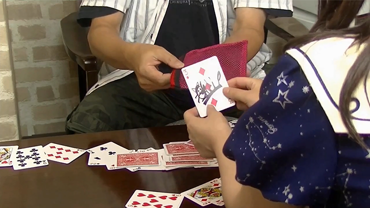 Card Through Mesh Bag by Higpon... MagicWorld Magic Shop
