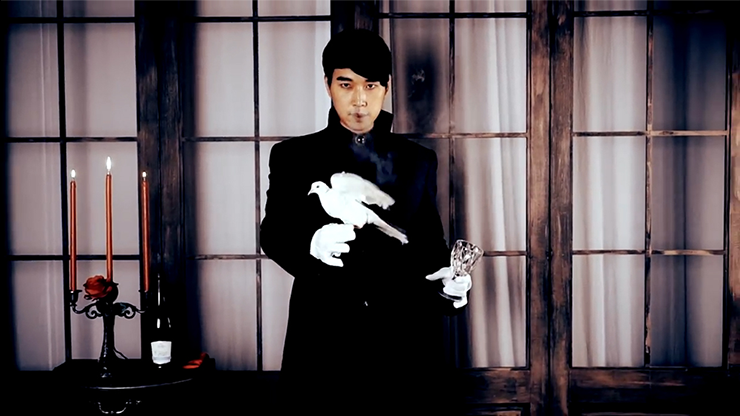 Dove Worker by CY - DVD MagicWorld Magic Shop