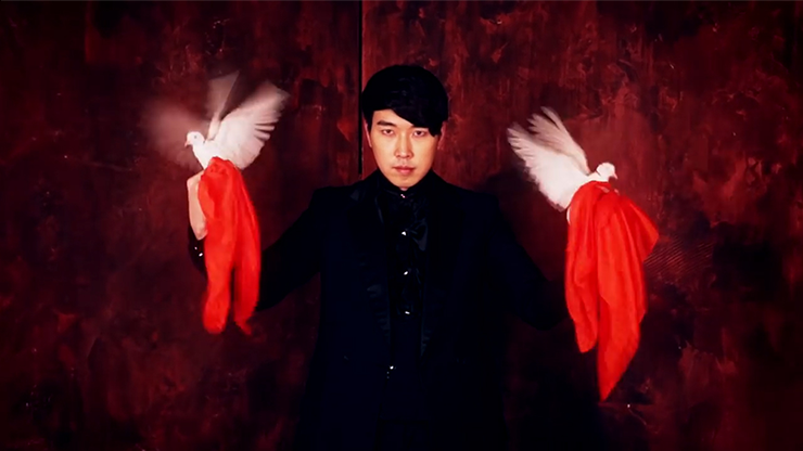Dove Worker by CY - DVD MagicWorld Magic Shop