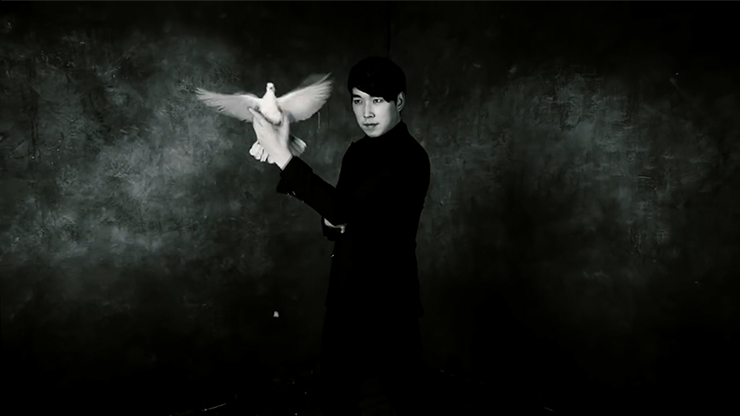 Dove Worker by CY - DVD MagicWorld Magic Shop
