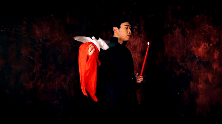 Dove Worker by CY - DVD MagicWorld Magic Shop