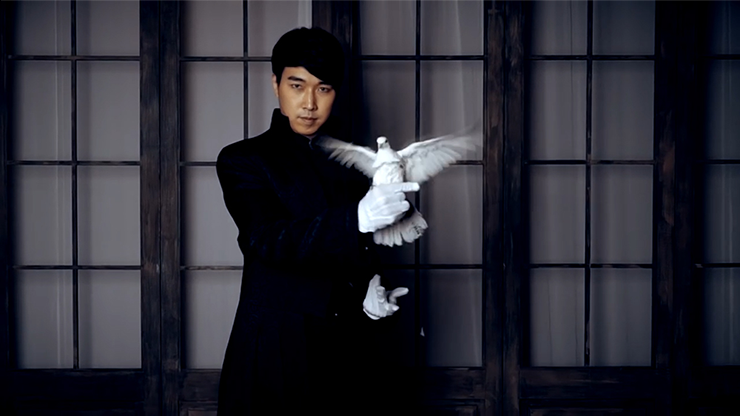 Dove Worker by CY - DVD MagicWorld Magic Shop