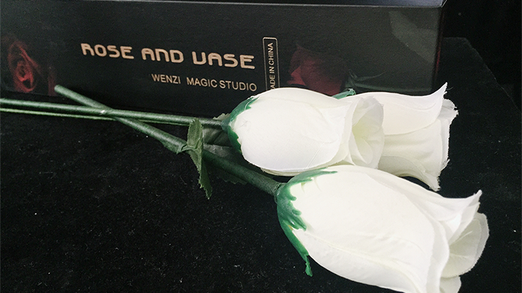 Rose & Vase by Wenzi Studio Presented... MagicWorld Magic Shop