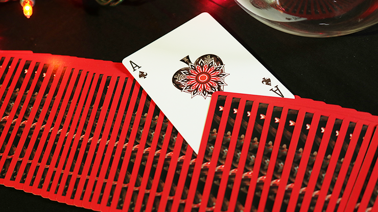 Bicycle Koi Playing Cards MagicWorld Magic Shop
