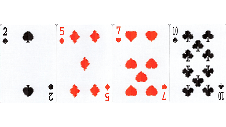 The Guard Slate Playing Cards MagicWorld Magic Shop