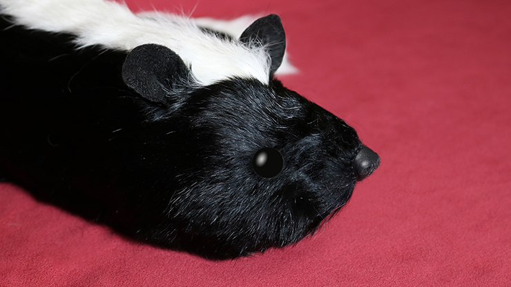 Skunk Spring Animal by Magic Masters... MagicWorld Magic Shop