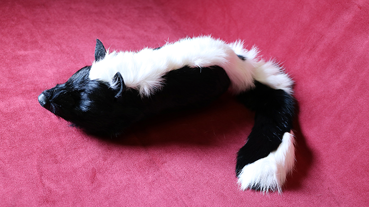 Skunk Spring Animal by Magic Masters... MagicWorld Magic Shop