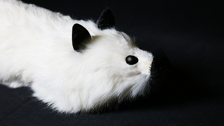 White Fox Spring Animal by Magic... MagicWorld Magic Shop