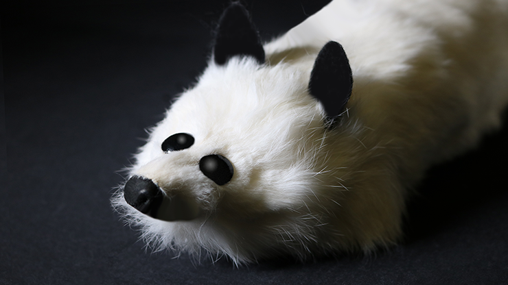 White Fox Spring Animal by Magic... MagicWorld Magic Shop