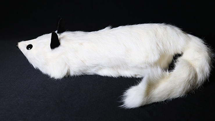 White Fox Spring Animal by Magic... MagicWorld Magic Shop