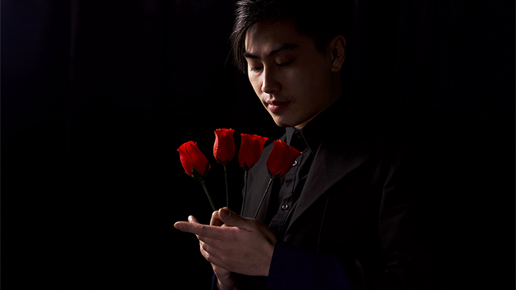 Y-Rose by Mr. Y & Bond Lee - Trick MagicWorld Magic Shop