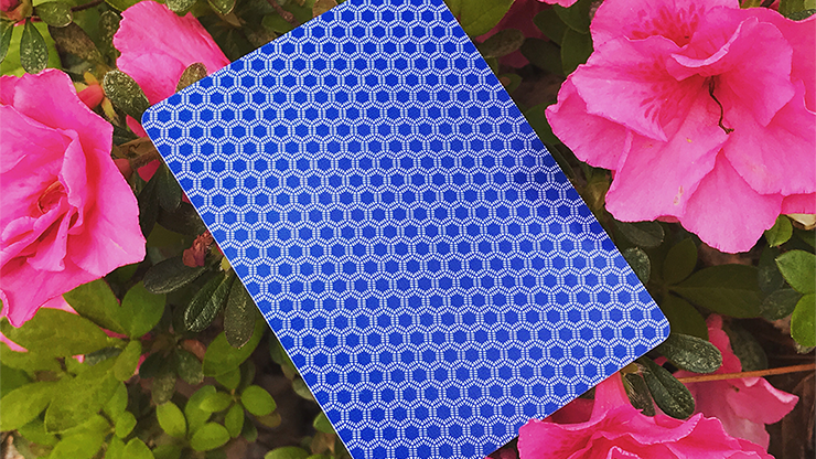 Honeybee Elite Edition (Blue) Playing... MagicWorld Magic Shop