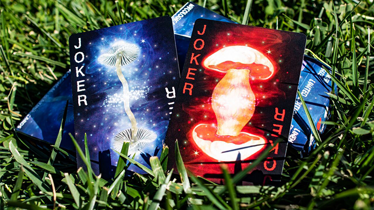 Limited Edition Fungi Mystic Mushrooms... MagicWorld Magic Shop