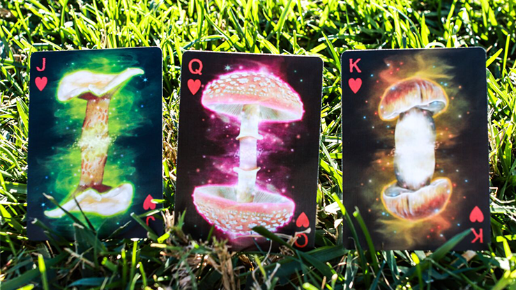 Limited Edition Fungi Mystic Mushrooms... MagicWorld Magic Shop