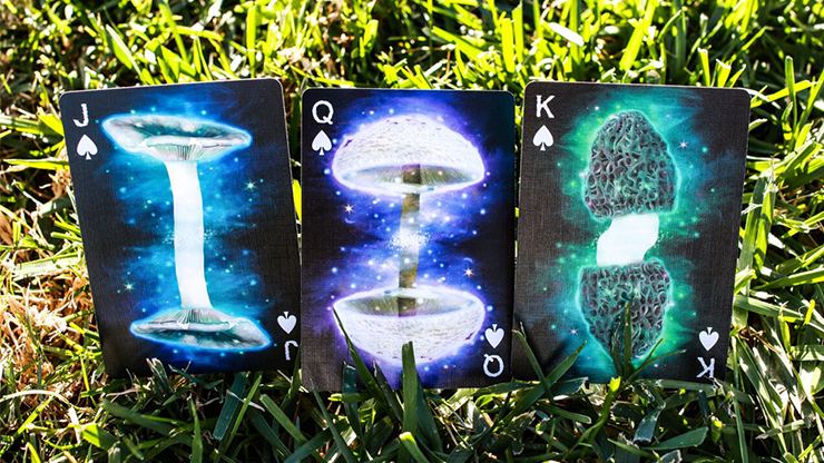 Limited Edition Fungi Mystic Mushrooms... MagicWorld Magic Shop