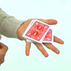Haunted Deck Bicycle (Red)