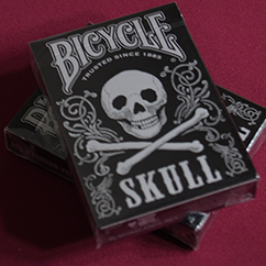 Bicycle Skull Metallic (Silver) USPCC by Gambler
