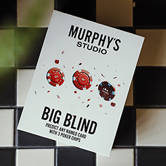 The Big Blind by Craig Petty