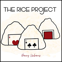 The Vault - The Rice Project by Danny Urbanus video DOWNLOAD