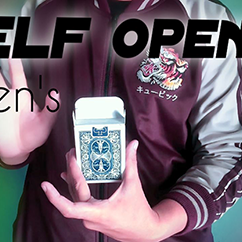 The Vault - Self Opener by Zoens video DOWNLOAD