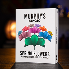 SPRING FLOWERS (2 PK PAPER) by Murphy
