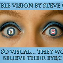 Double Vision by Steve Gore
