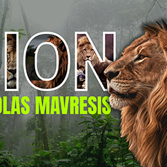Lion by Nikolas Mavresis video DOWNLOAD