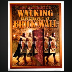 Walking Thru a Brick Wall by Martin Schwartz