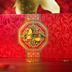 Year of the Horse Collection Set by TCC Fashion