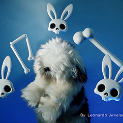 Magic Bones by Leonardo Arvelaez