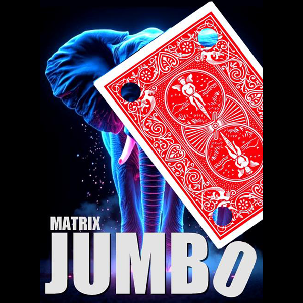 Matrix Revolution Jumbo by Mickael Chatelain