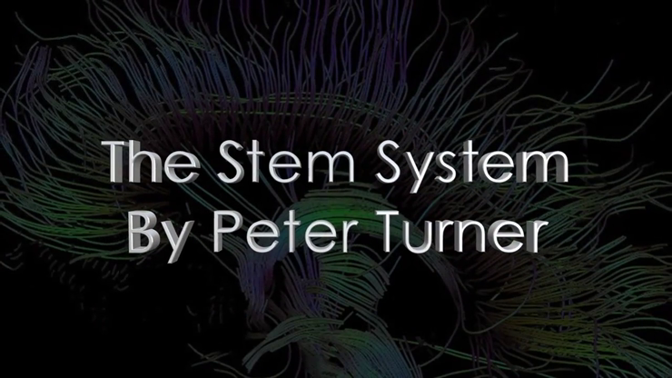 Peter Turner's The S.T.E.M.System (2 DVD set includes special guest Anthony Jacquin) Limited Edition - DVD