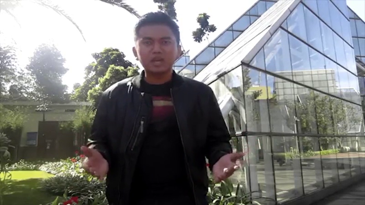 Video