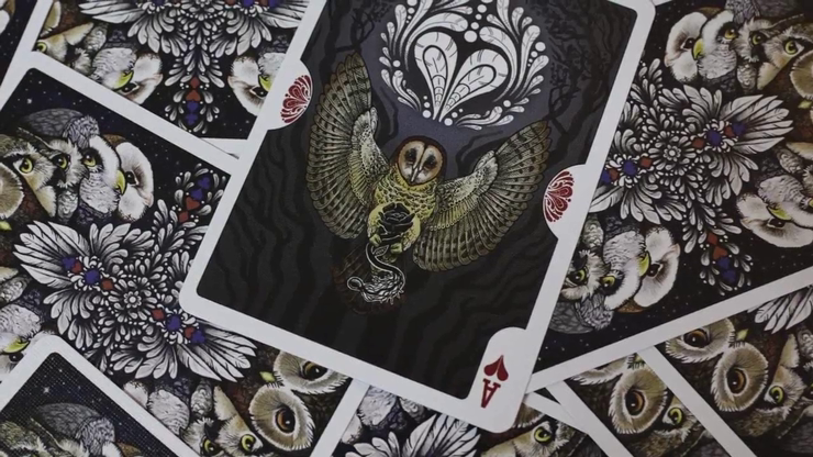 Bicycle Strigiformes Owl Playing Cards MJM Magic