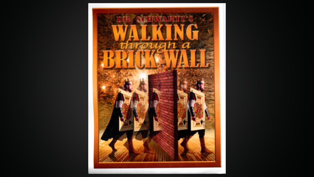 Walking Thru a Brick Wall by Martin Schwartz
